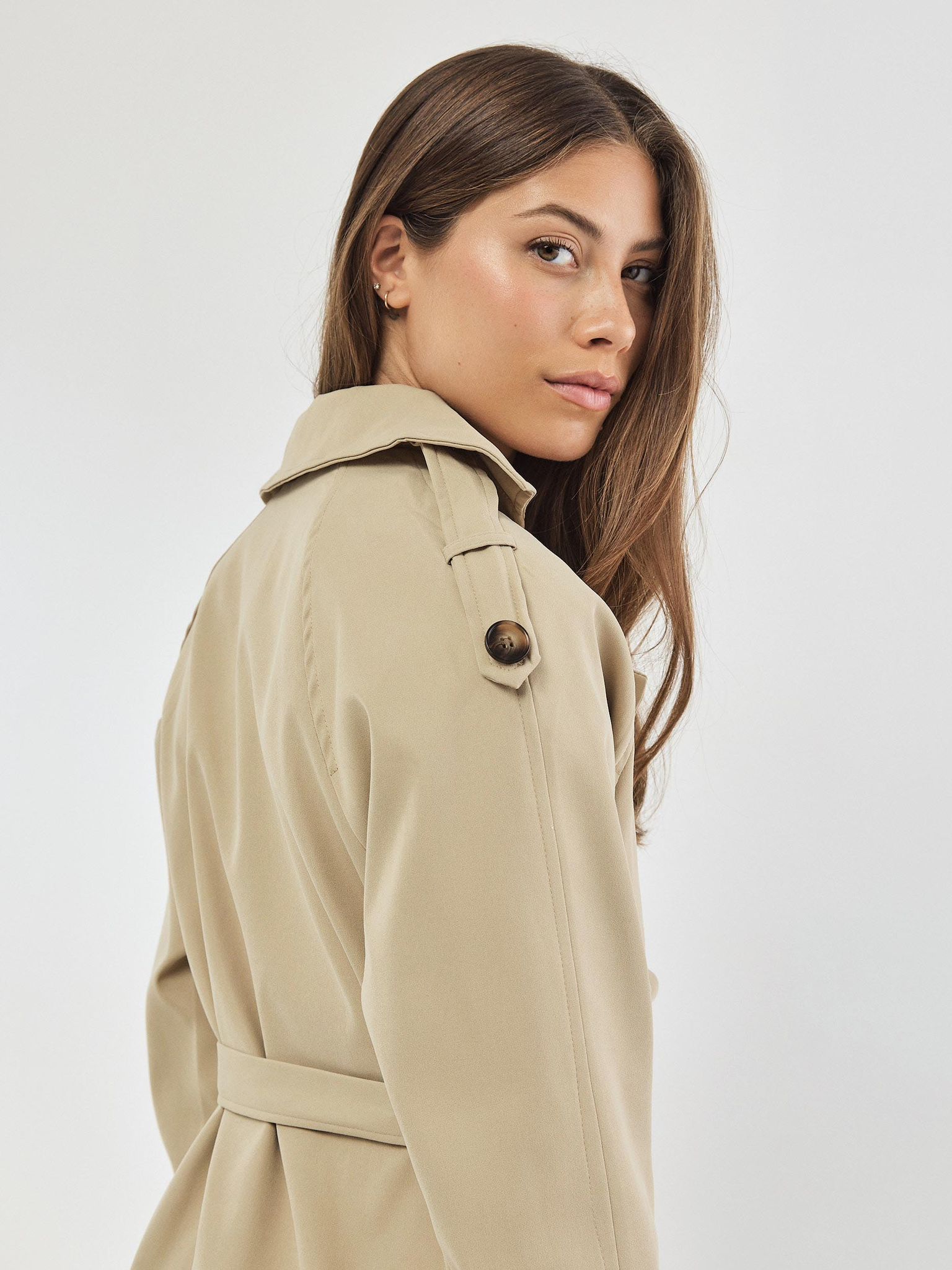 טראנץ׳ אריזונה