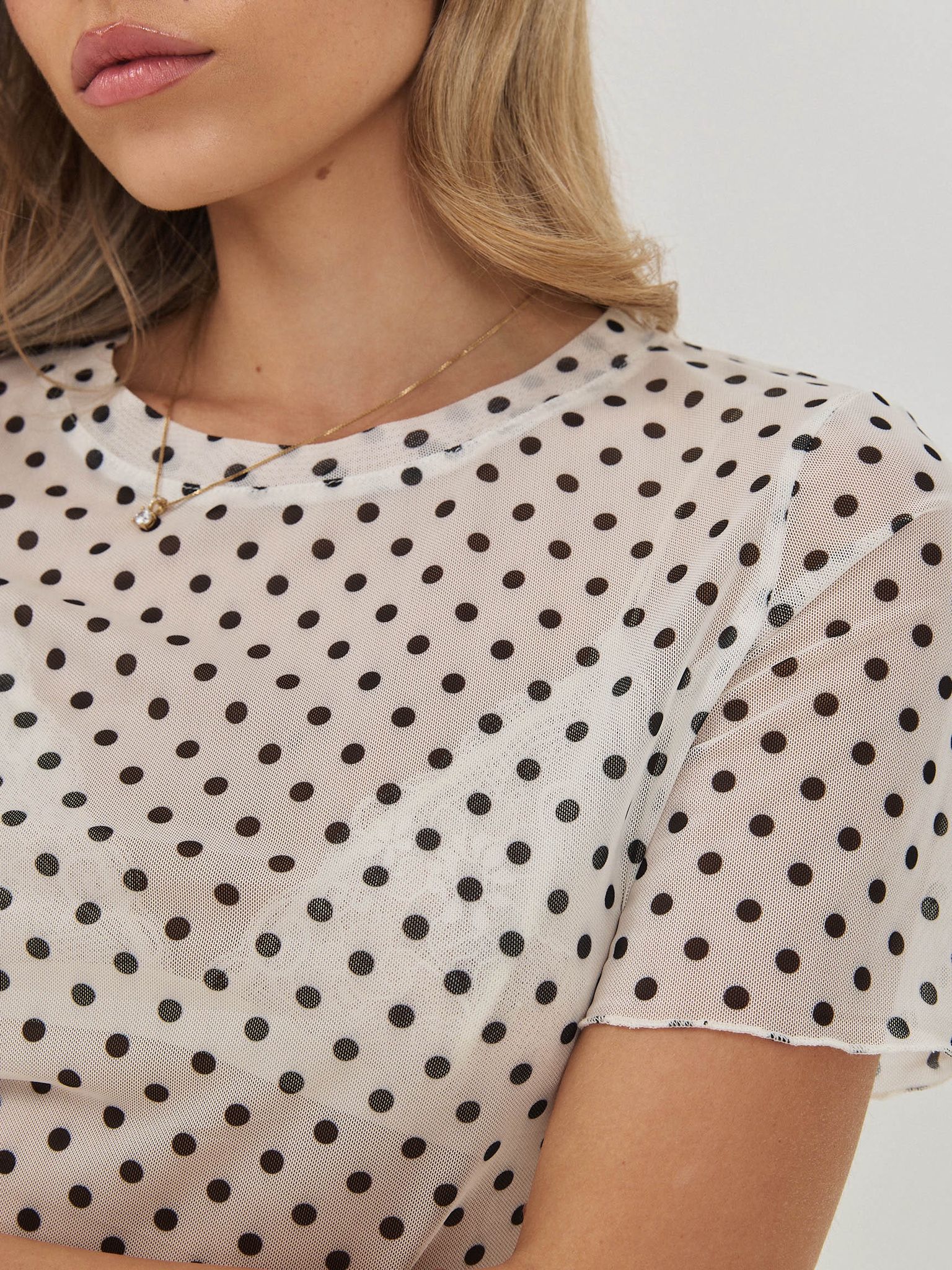 טופ נקודות דני