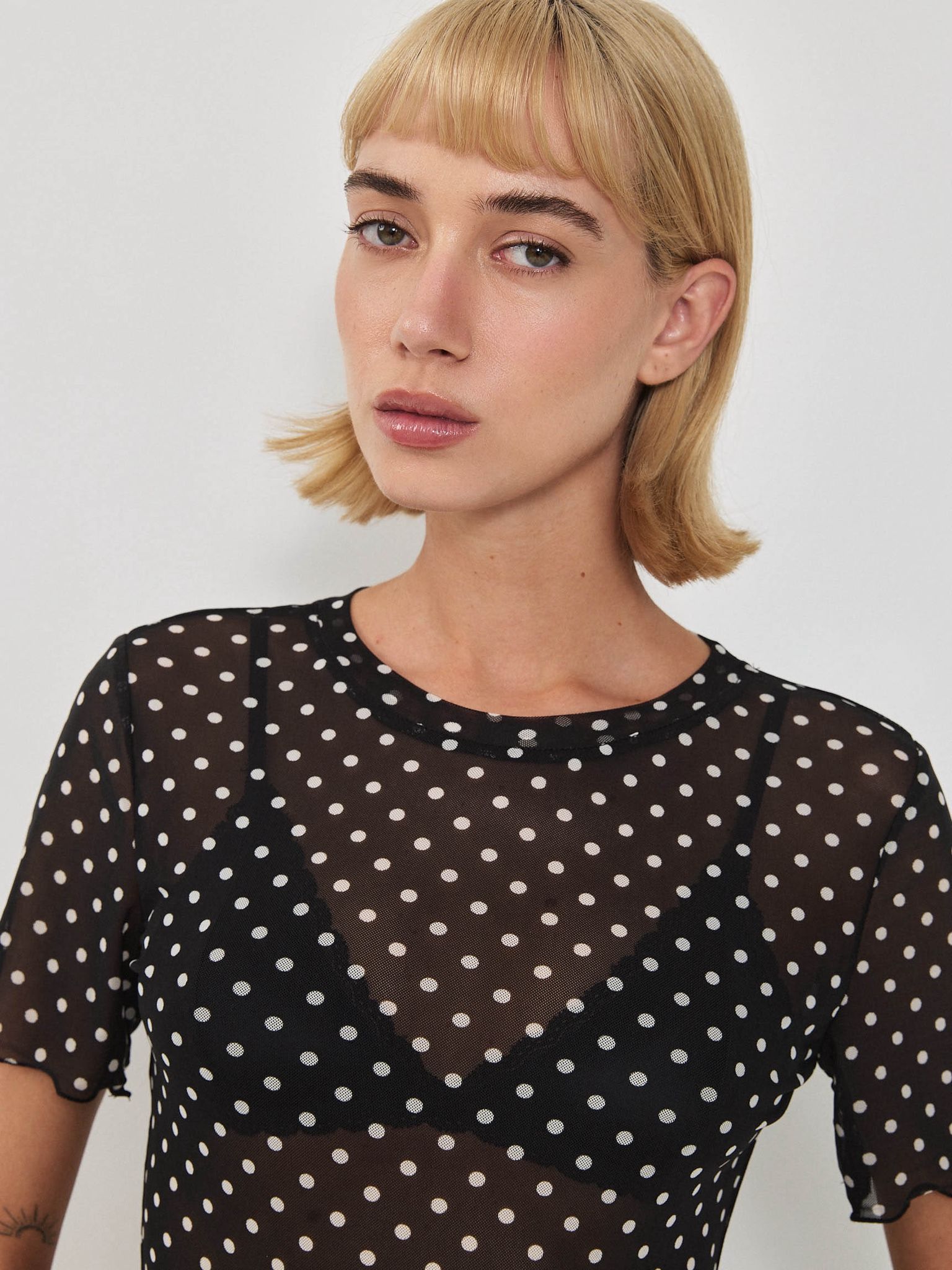 טופ נקודות דני