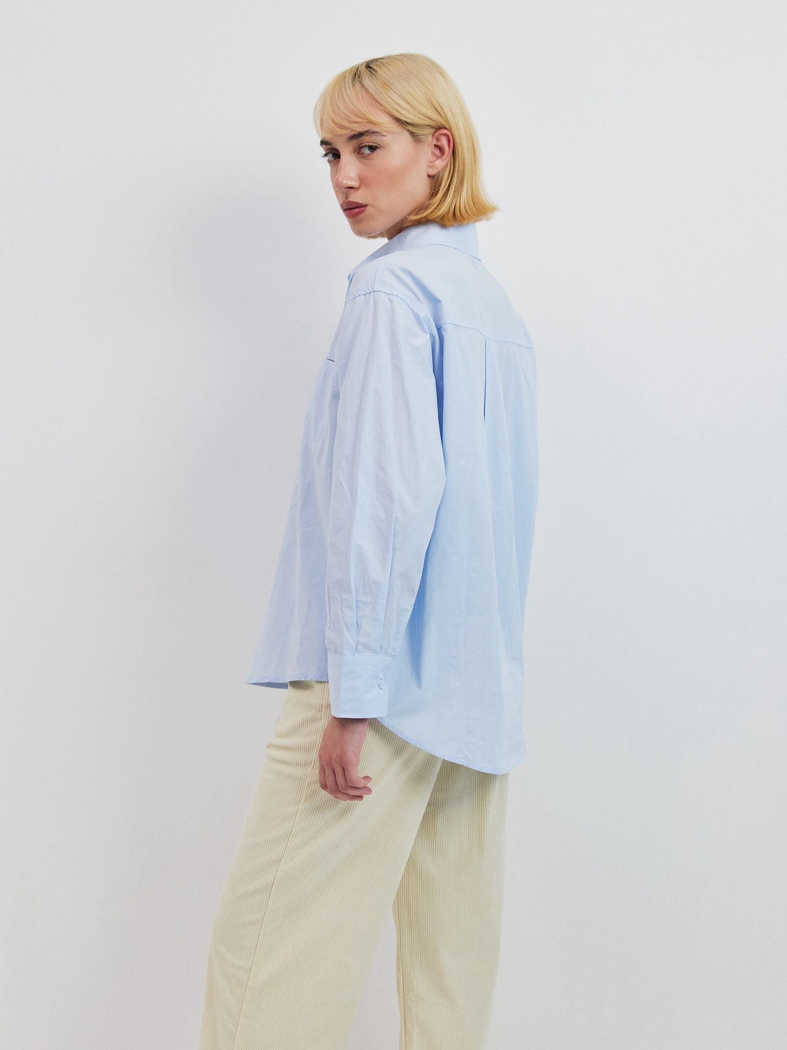 מכופתרת אטלס