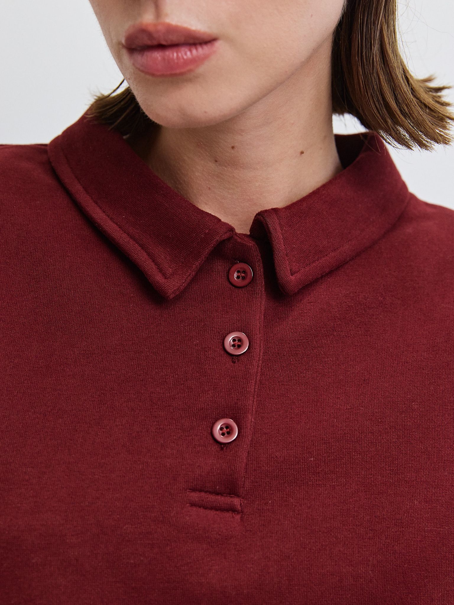 פוטר פולו ראיין