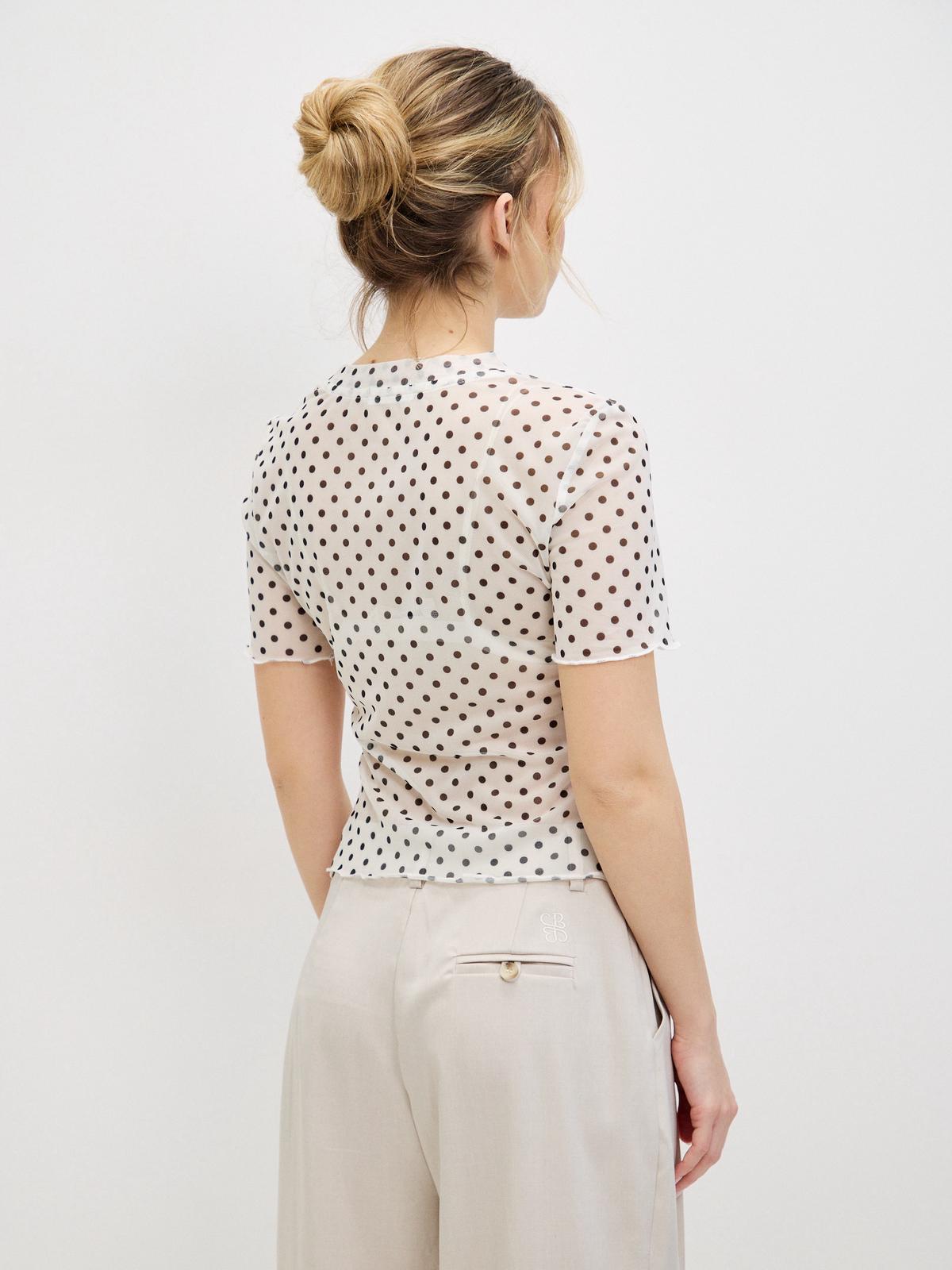 טופ נקודות דני