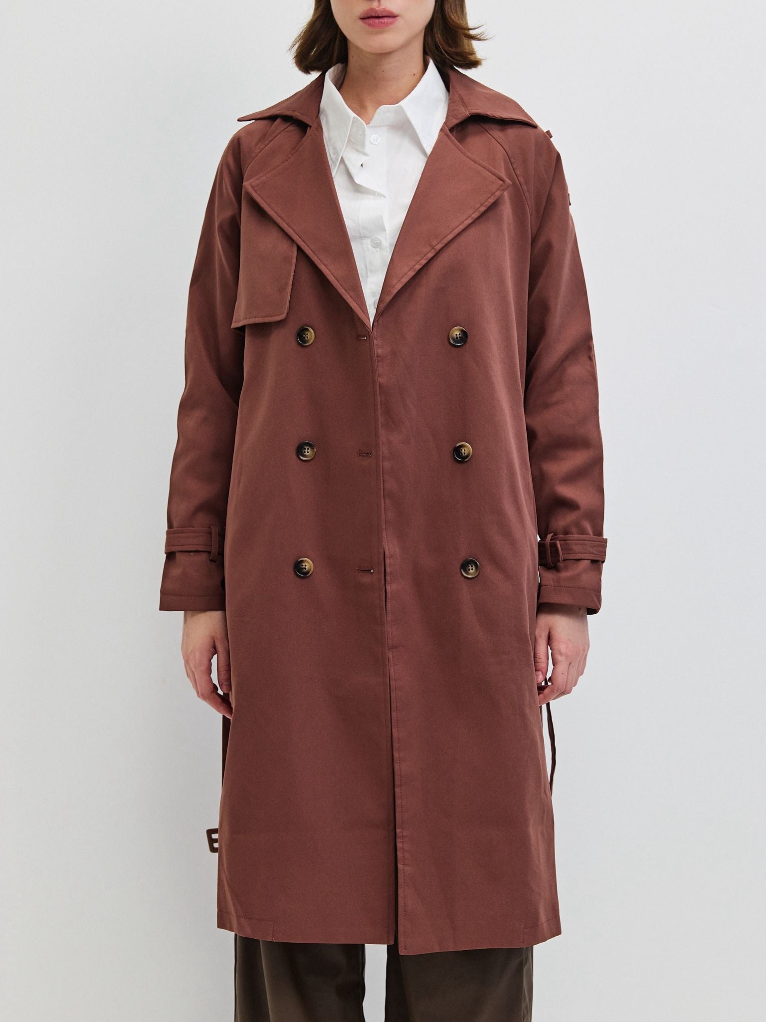 טראנץ׳ אריזונה