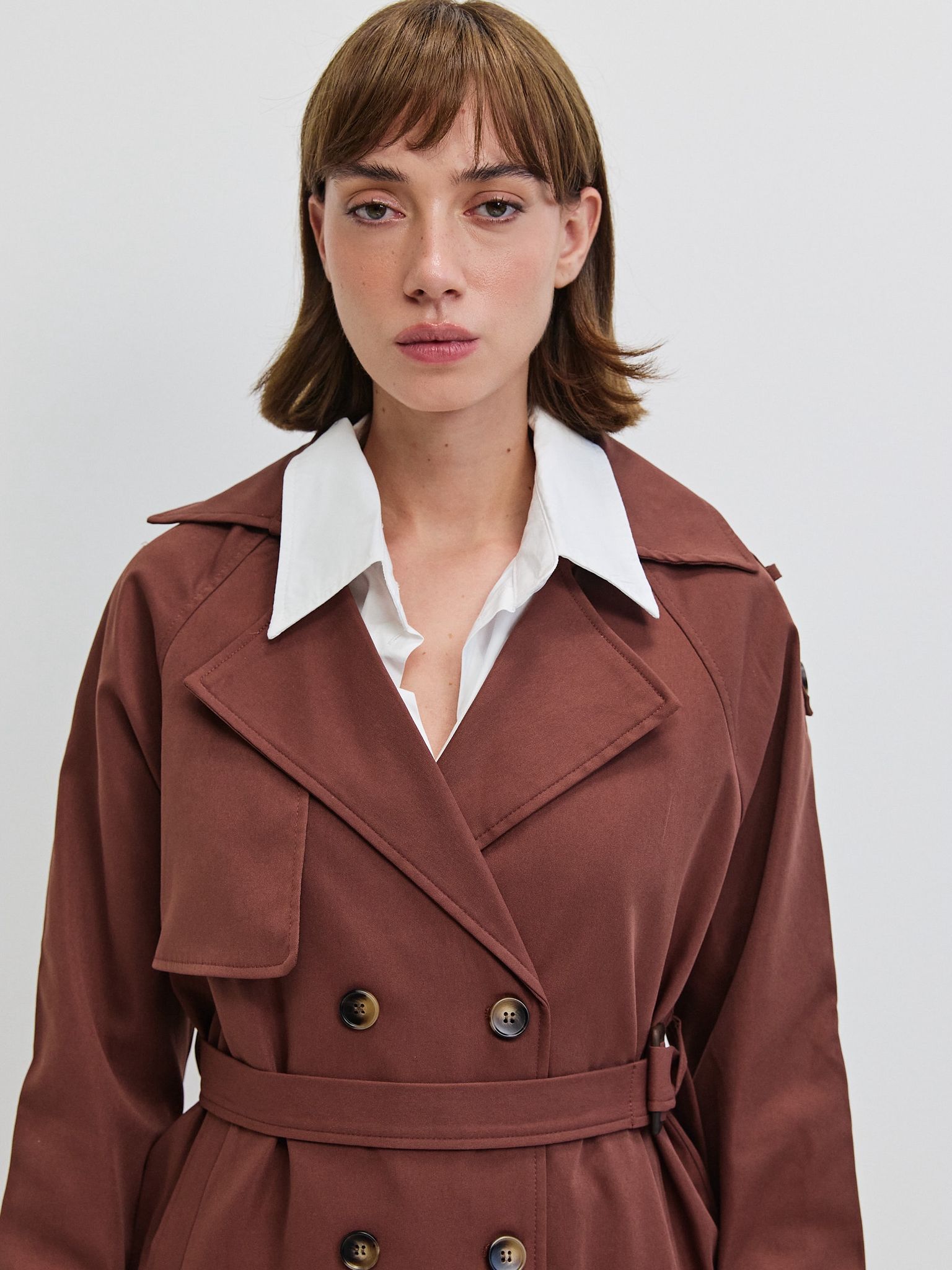 טראנץ׳ אריזונה