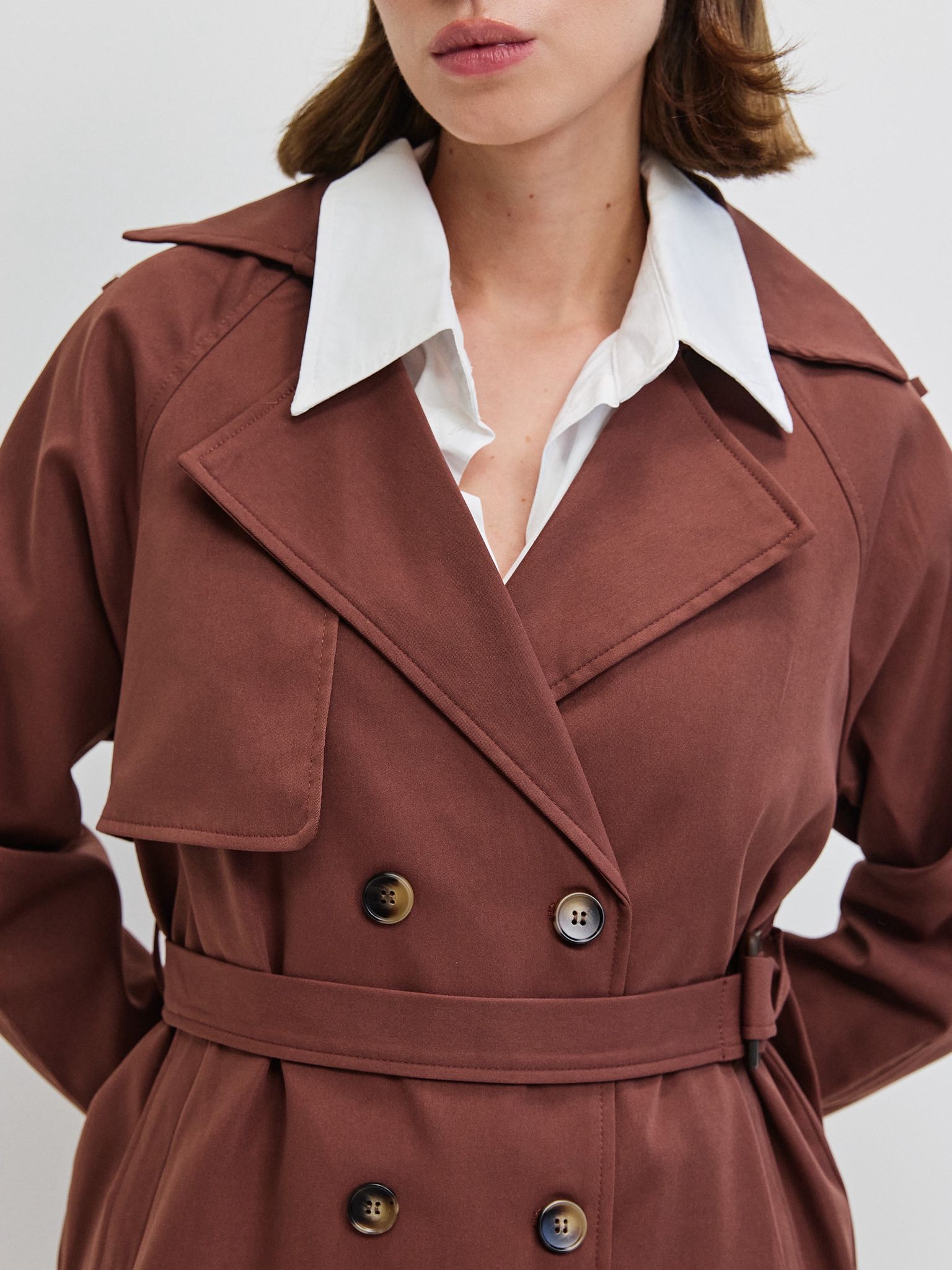 טראנץ׳ אריזונה