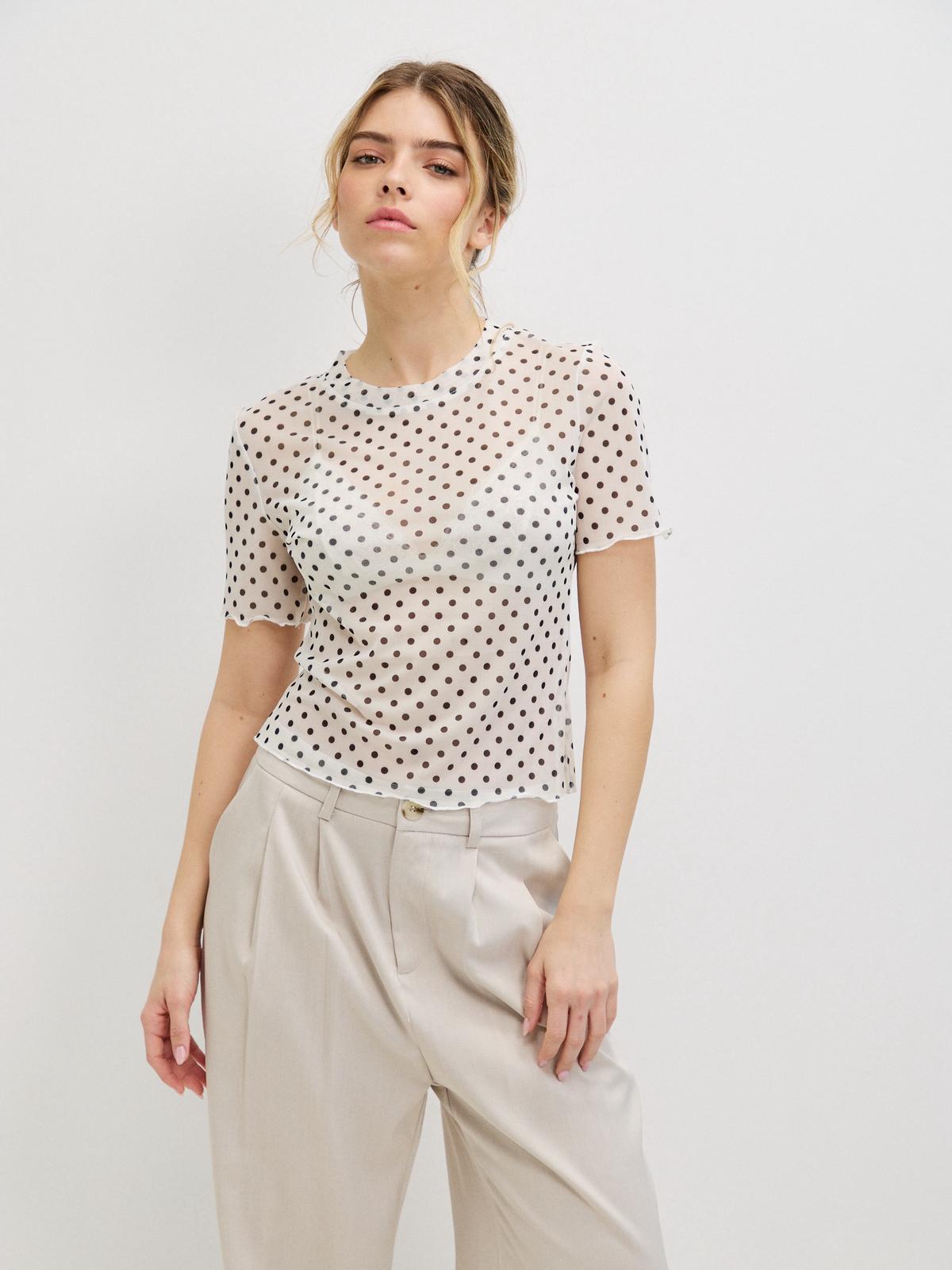 טופ נקודות דני