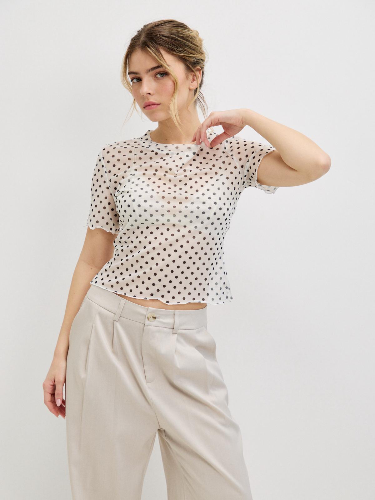 טופ נקודות דני